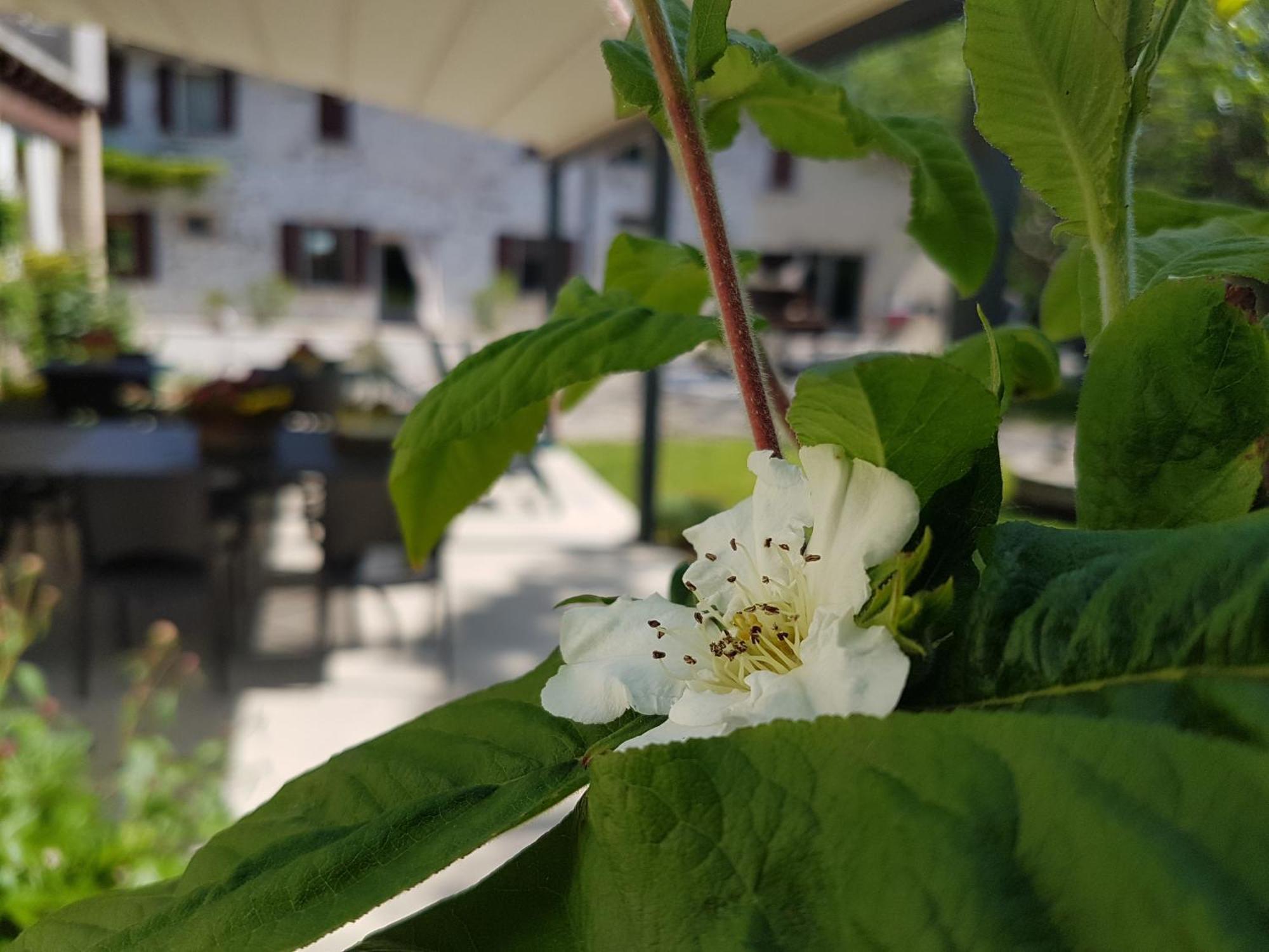 L'Isolo B&B E Case Vacanza Монцамбано Экстерьер фото